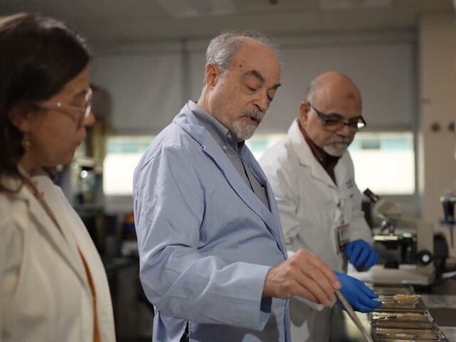 Dr. Elliott Mufson performs Alzheimer's research in his laboratory